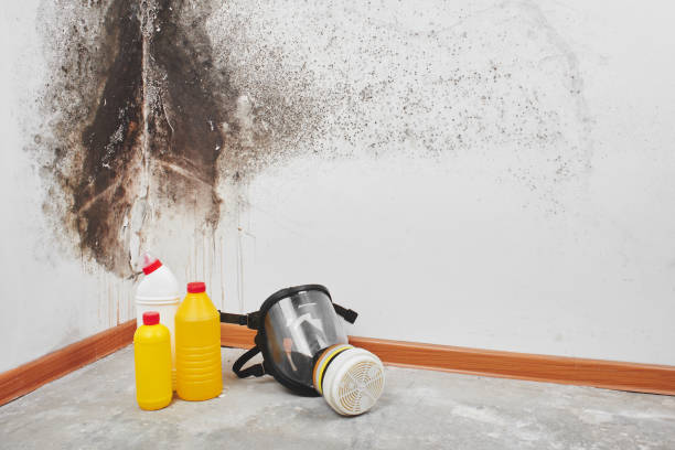 Best Office Mold Removal Services  in Elliston, VA