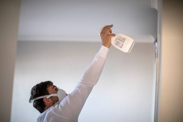 Best Mold Remediation  in Elliston, VA