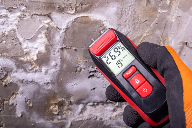 Best Affordable Mold Removal  in Elliston, VA