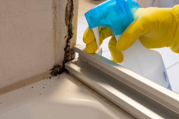 Best Mold Testing  in Elliston, VA