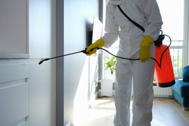 Best Local Mold Removal Service  in Elliston, VA