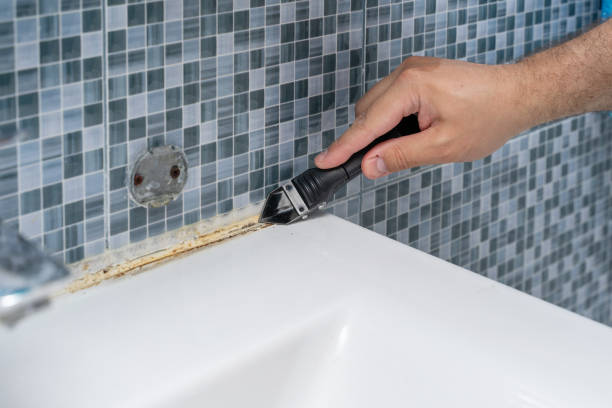 Best Toxic Mold Removal  in Elliston, VA