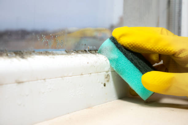 Best Crawl Space Mold Removal  in Elliston, VA