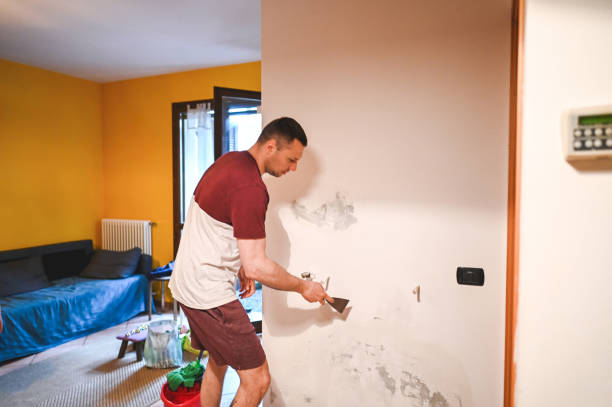 Reliable Elliston, VA Mold Removal Solutions